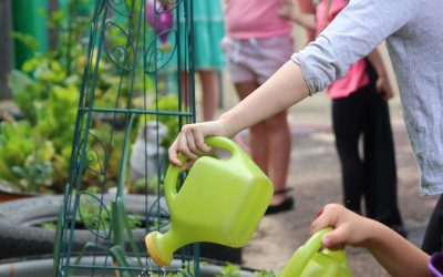 Gardening at Spunky Monkeys Early Learning and Preschool