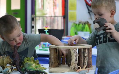 The Importance Of Play